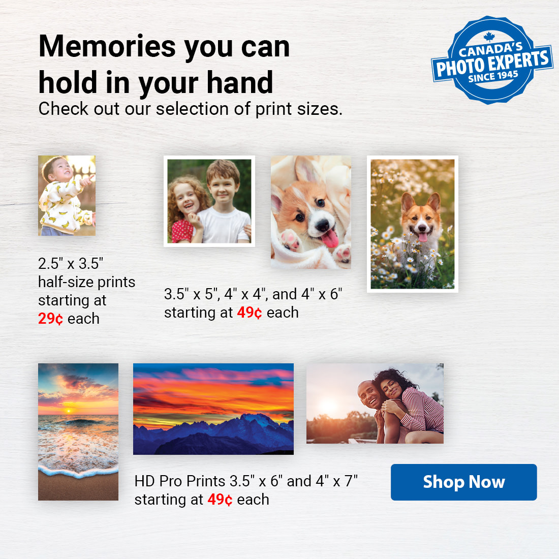 London Drugs Photolab Photo prints, books, cards, and canvas.
